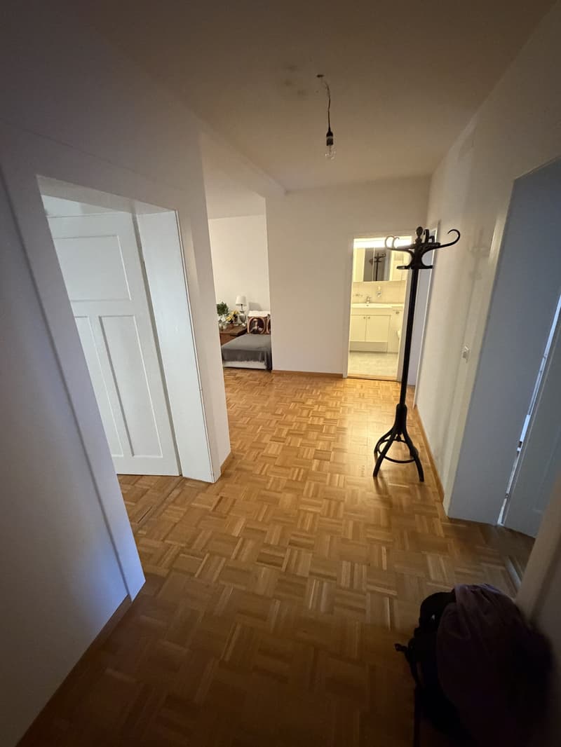 Geräumiges WG-Zimmer mit Wohnzimmer im Kreis 3 (5)