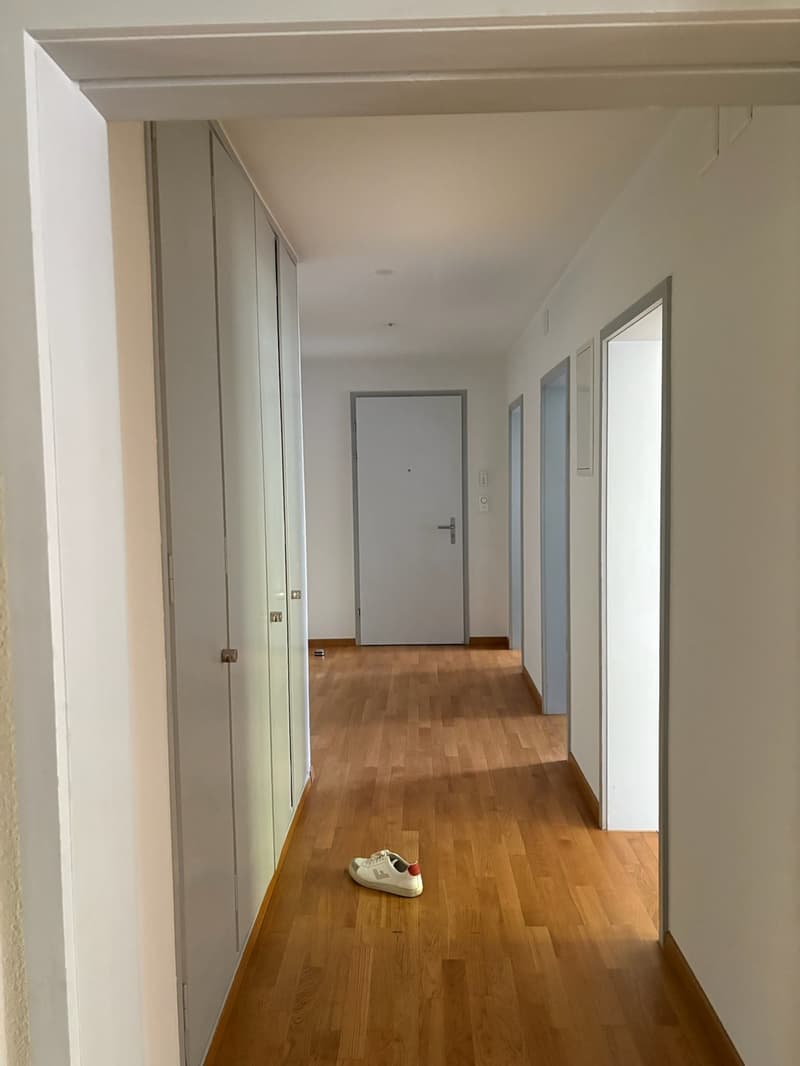 3.5 Zimmerwohnung im Seefeld zu vermieten (6)
