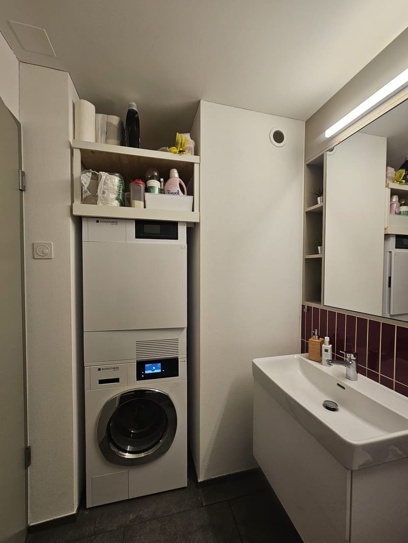 Möblierte 3.5-Zimmer-Wohnung befristet in Zürich-Schwamendingen Dezember 2026 bis November 2027 (5)
