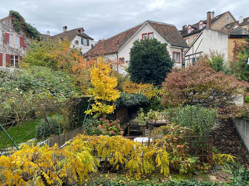 Garden view (from bedroom)