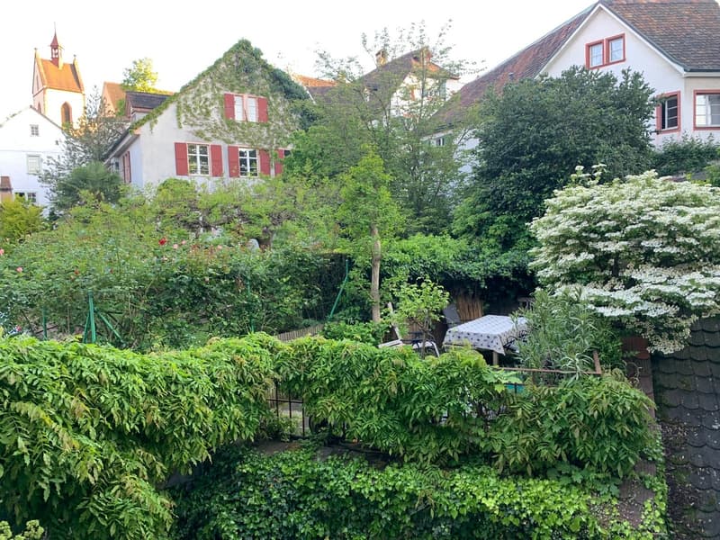 Garden view (from bedroom)