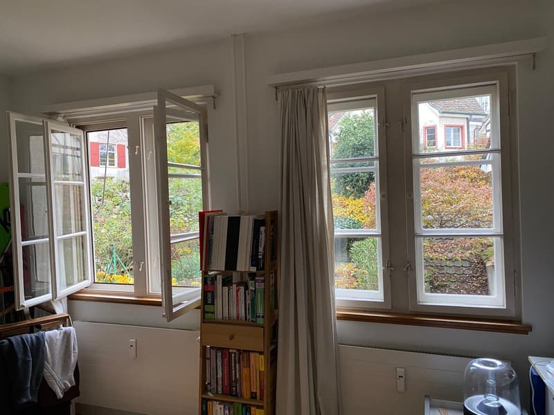 Garden view (from bedroom)
