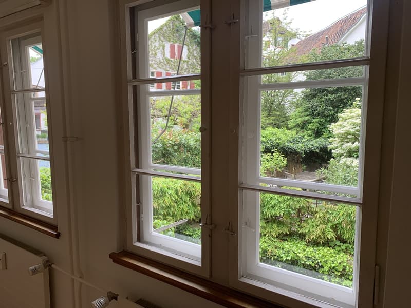 Garden view (from bedroom)