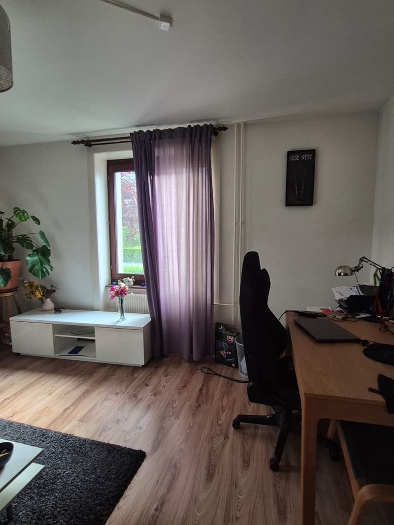 Furnished Room to Sublet in Wiedikon Available from 01.12.2025 (7)
