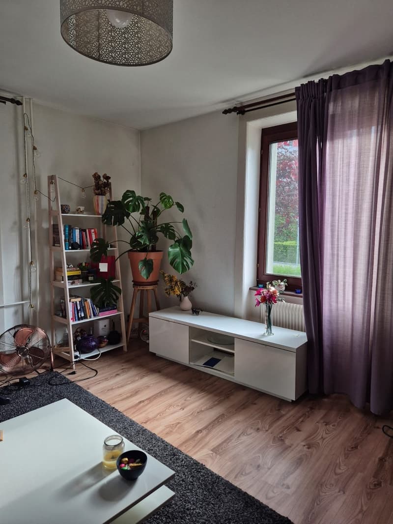 Furnished Room to Sublet in Wiedikon Available from 01.12.2025 (6)