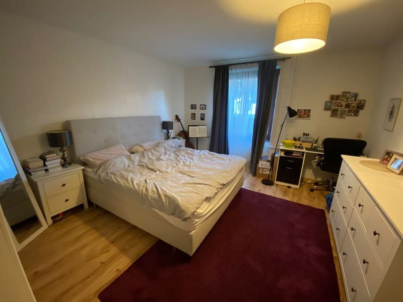 Furnished Room to Sublet in Wiedikon Available from 01.12.2025 (13)