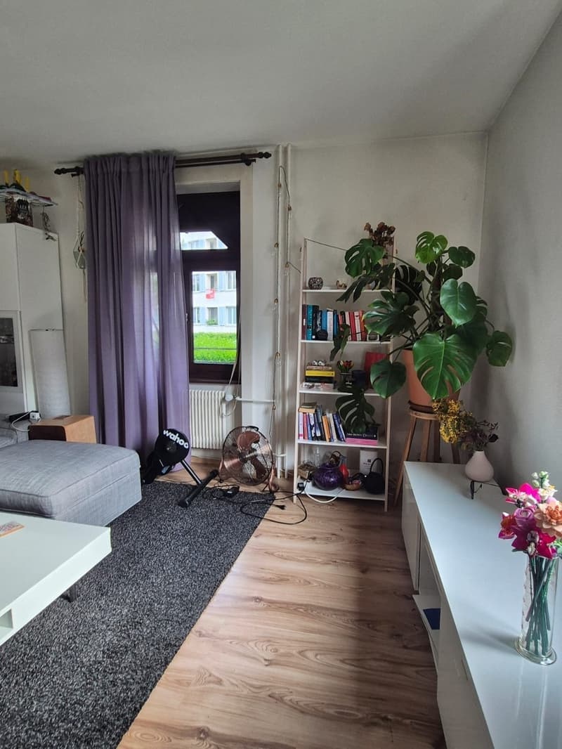 Furnished Room to Sublet in Wiedikon Available from 01.12.2025 (4)