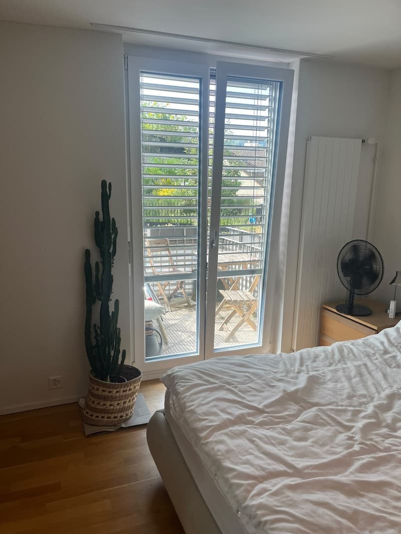 Furnished 2.5-Room Apartment with Balcony Kreis 4 (3)