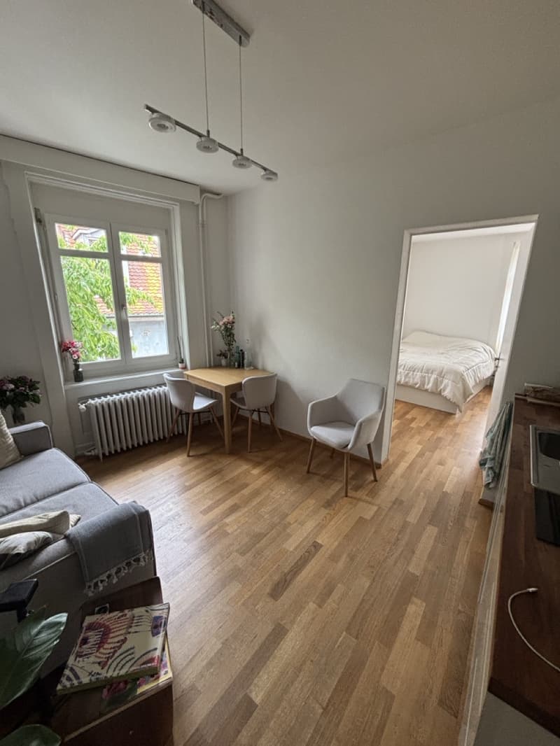 2 rooms flat - Kreis 6 (1)