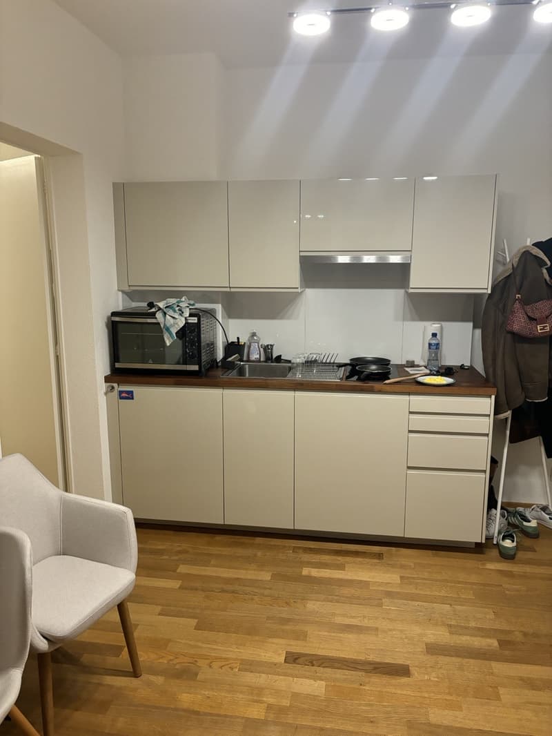 2 rooms flat - Kreis 6 (6)