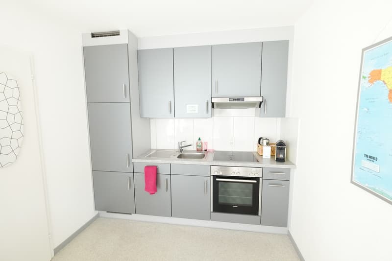Moderne Wohnung im Gundeli (1)