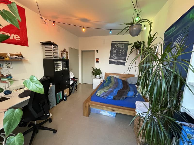Zimmer sucht AbenteurerIn! (7)