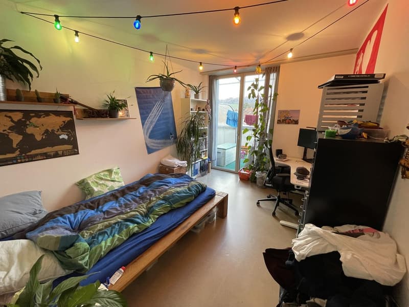 Zimmer sucht AbenteurerIn! (1)