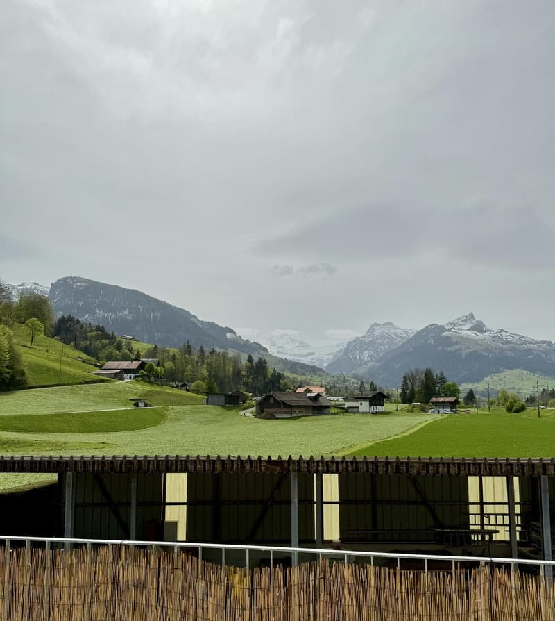WG-Zimmer (2er-WG) in heller, moderner Wohnung (Nähe Spiez) (6)