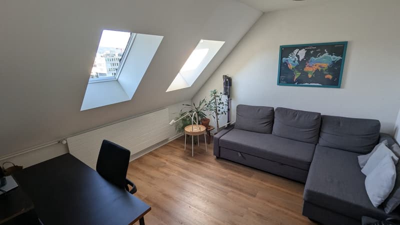 Bright, modern 3-Room Apartment on the 5th Floor in Kreis 4, in a calm street, 1 min walk from Bhf Wiedikon towards the city, staggering Üetliberg view (4)