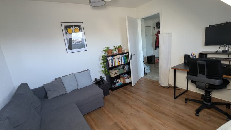 Bright, modern 3-Room Apartment on the 5th Floor in Kreis 4, in a calm street, 1 min walk from Bhf Wiedikon towards the city, staggering Üetliberg view (3)