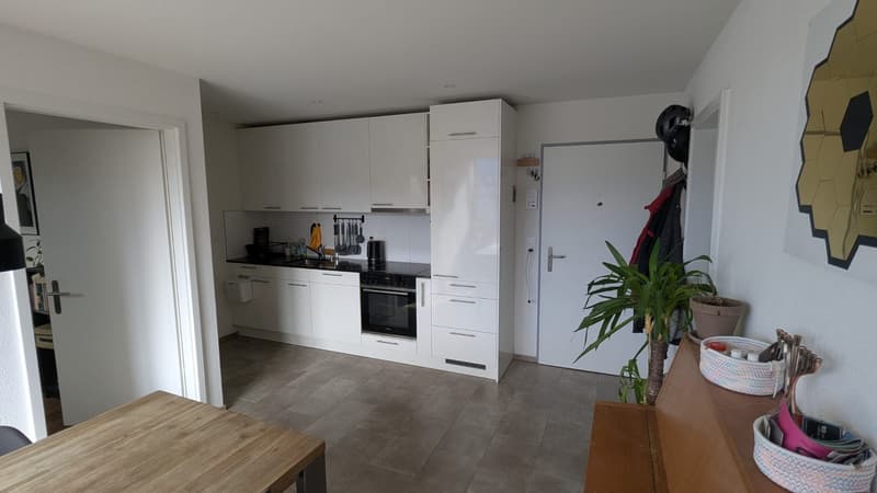Bright, modern 3-Room Apartment on the 5th Floor in Kreis 4, in a calm street, 1 min walk from Bhf Wiedikon towards the city, staggering Üetliberg view (7)