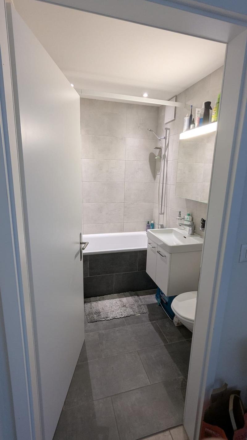 Bright, modern 3-Room Apartment on the 5th Floor in Kreis 4, in a calm street, 1 min walk from Bhf Wiedikon towards the city, staggering Üetliberg view (9)