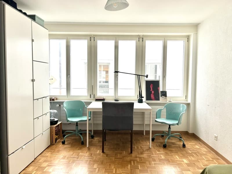 One year sublet in the heart of Zürich (1)