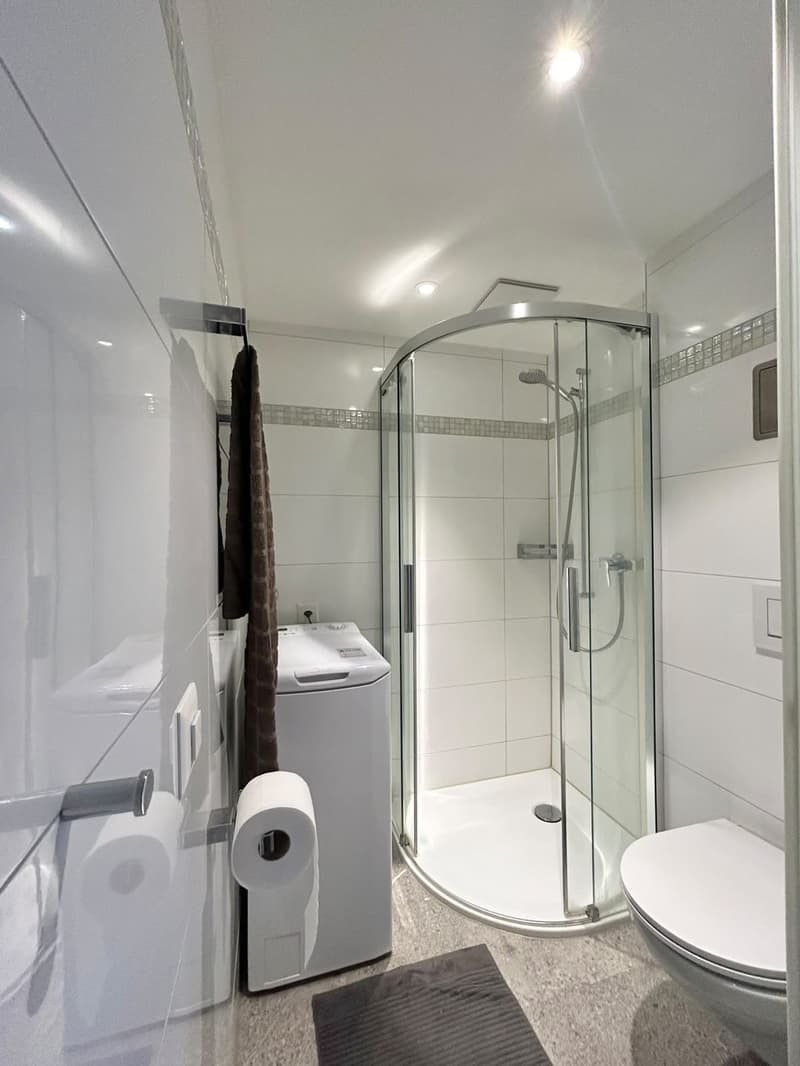 One year sublet in the heart of Zürich (3)