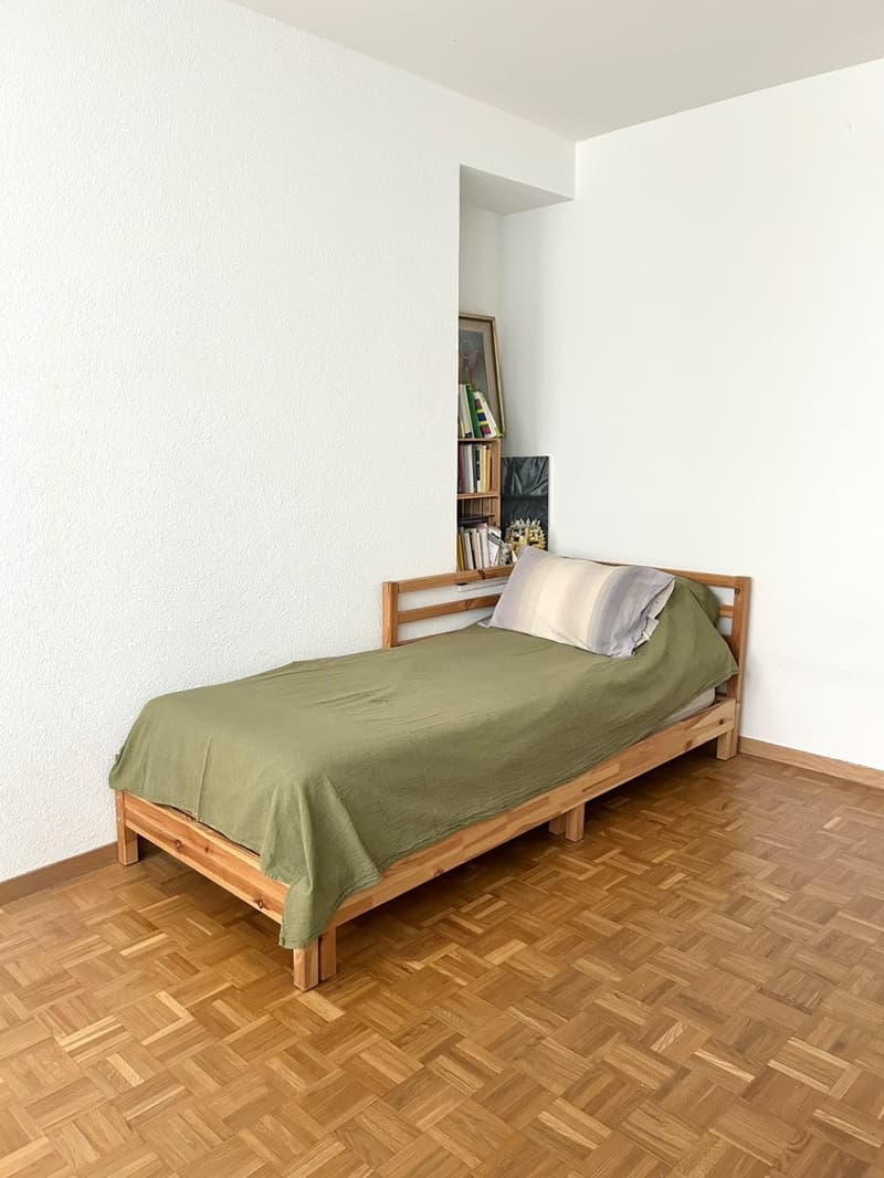 One year sublet in the heart of Zürich (5)