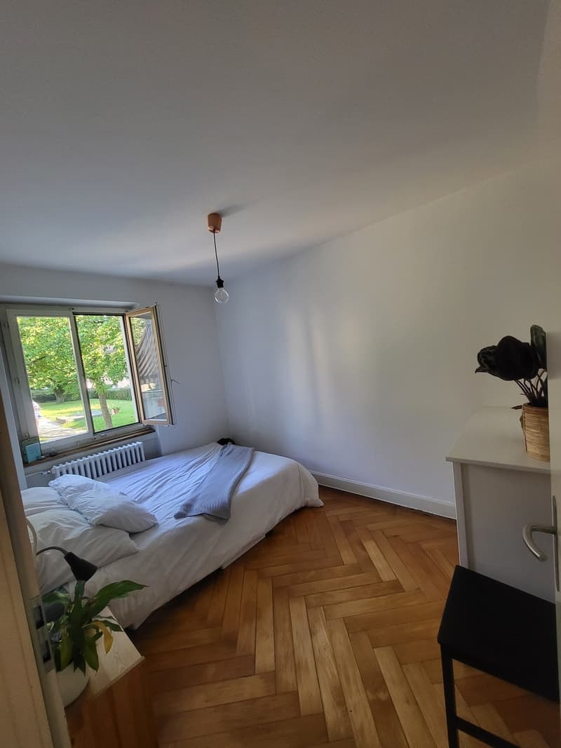Zimmer zur Untermiete in charmanter Wohnung an der Limmat (1)
