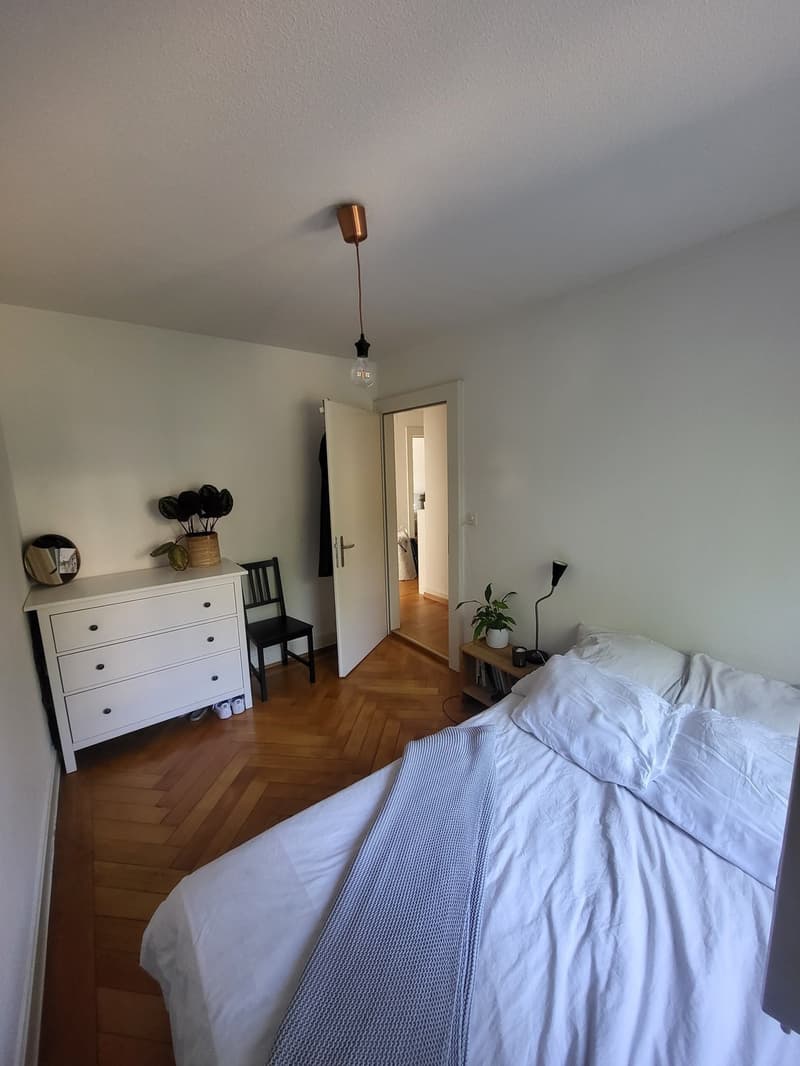 Zimmer zur Untermiete in charmanter Wohnung an der Limmat (2)