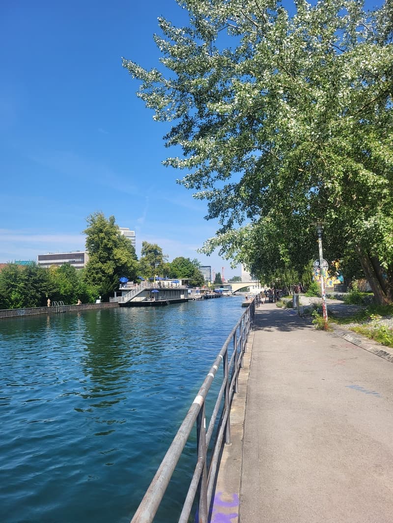 Zimmer zur Untermiete in charmanter Wohnung an der Limmat (11)