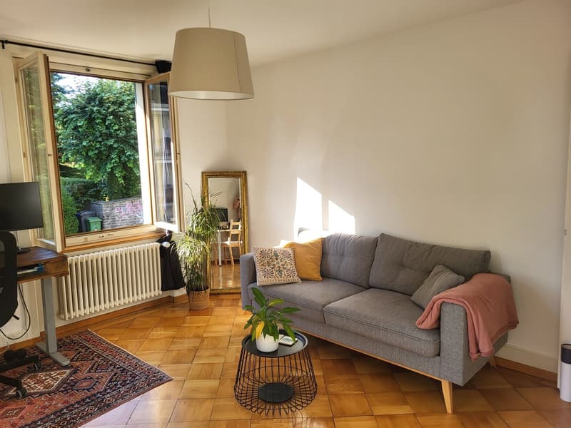 Zimmer zur Untermiete in charmanter Wohnung an der Limmat (6)