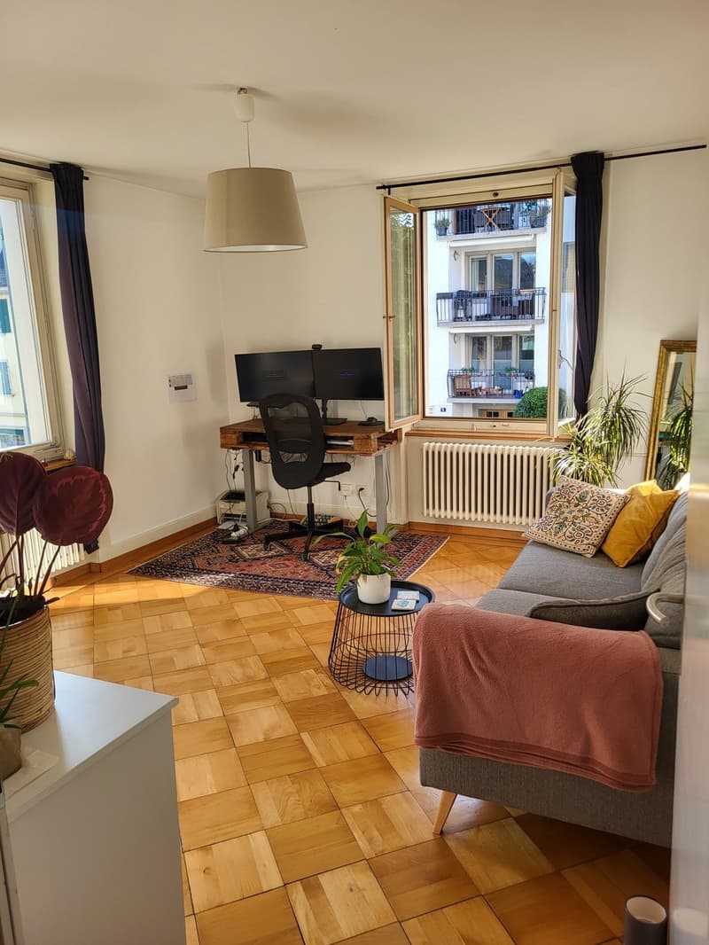 Zimmer zur Untermiete in charmanter Wohnung an der Limmat (7)
