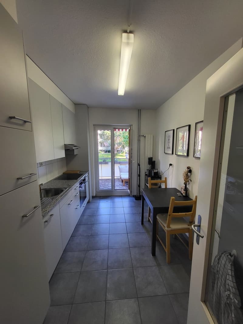 Zimmer zur Untermiete in charmanter Wohnung an der Limmat (5)
