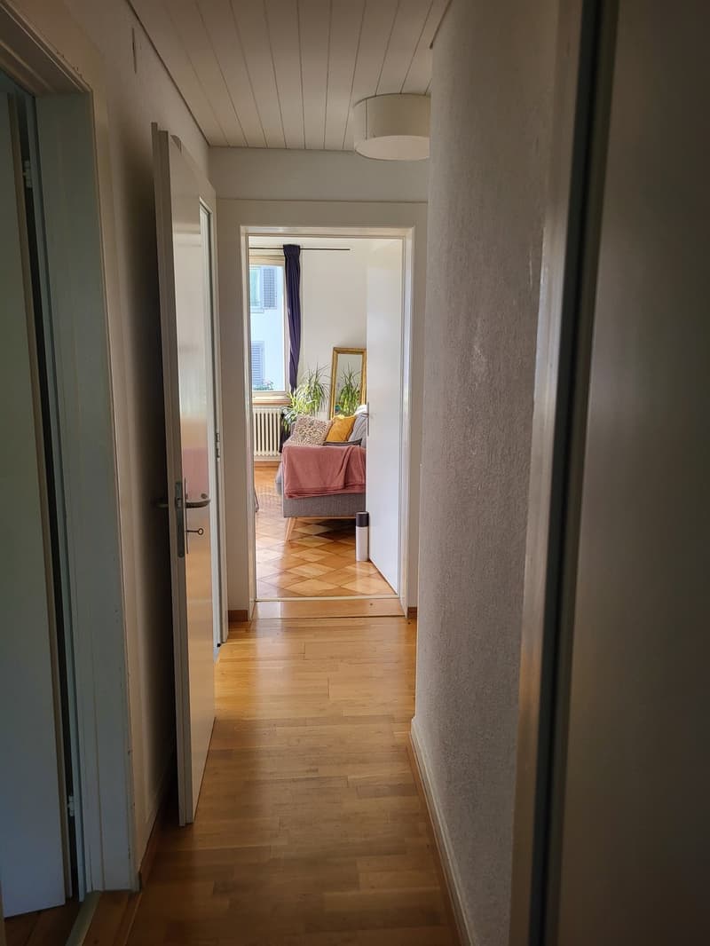 Zimmer zur Untermiete in charmanter Wohnung an der Limmat (4)