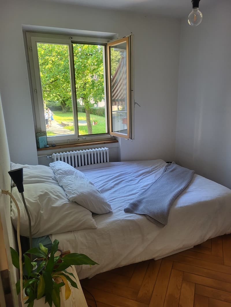 Zimmer zur Untermiete in charmanter Wohnung an der Limmat (3)