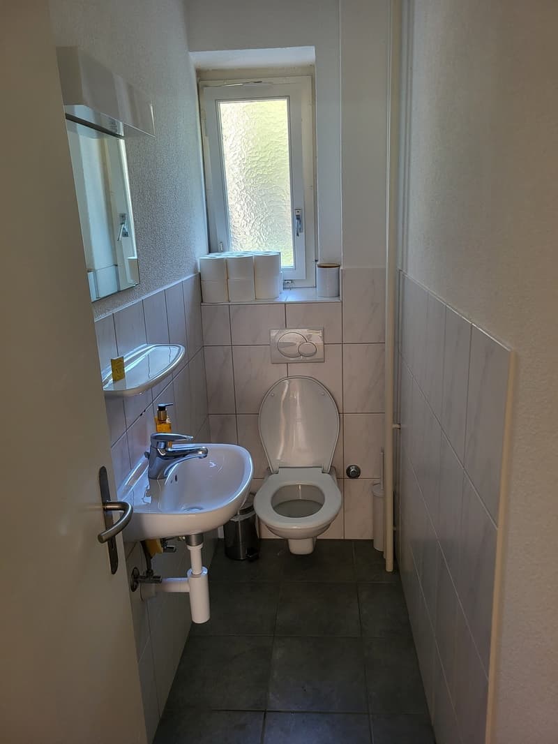 Zimmer zur Untermiete in charmanter Wohnung an der Limmat (9)