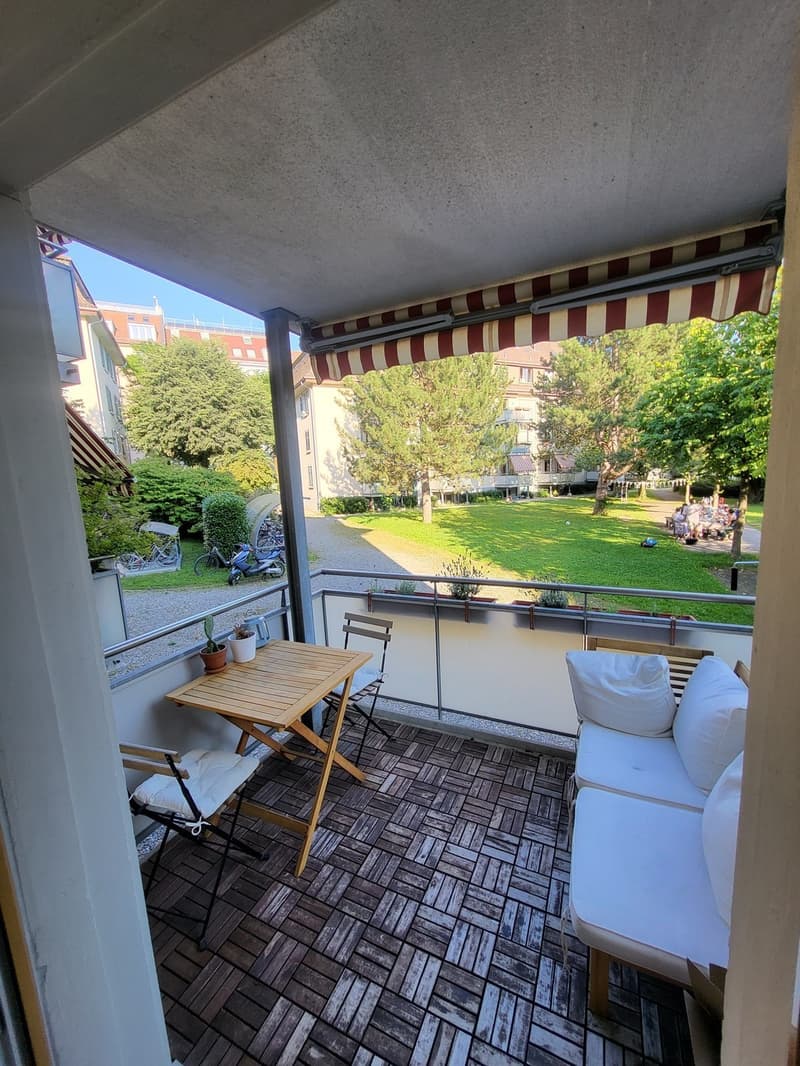 Zimmer zur Untermiete in charmanter Wohnung an der Limmat (10)