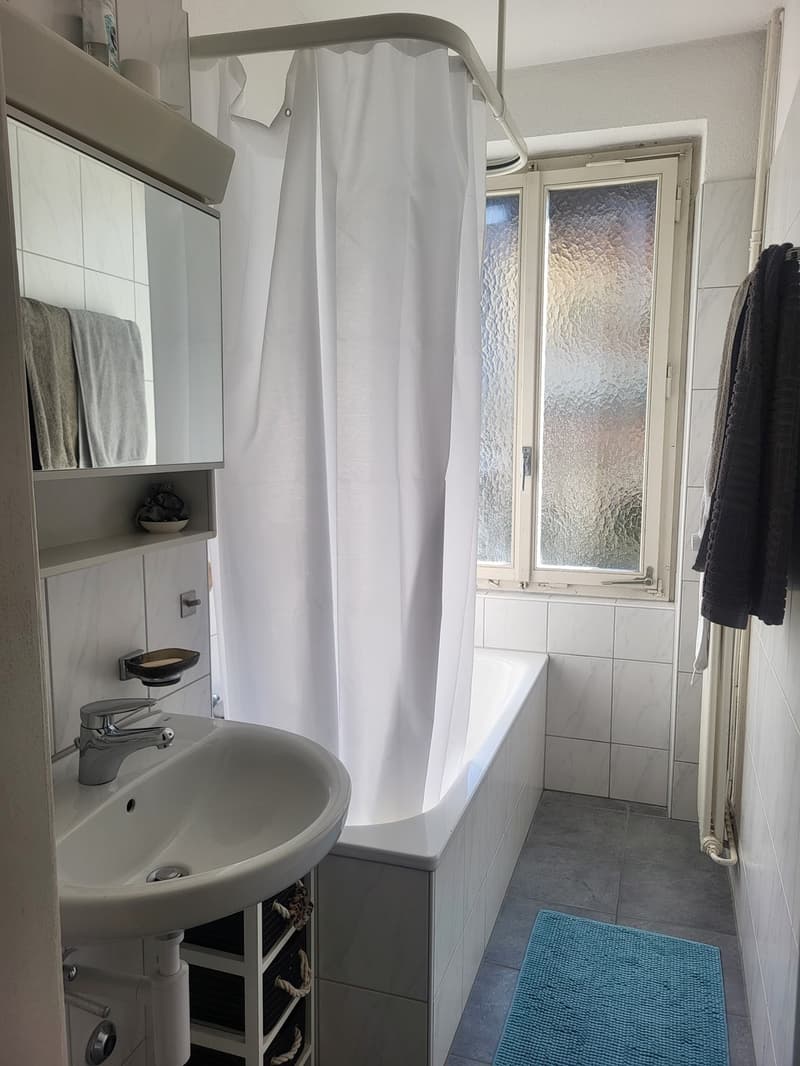 Zimmer zur Untermiete in charmanter Wohnung an der Limmat (8)