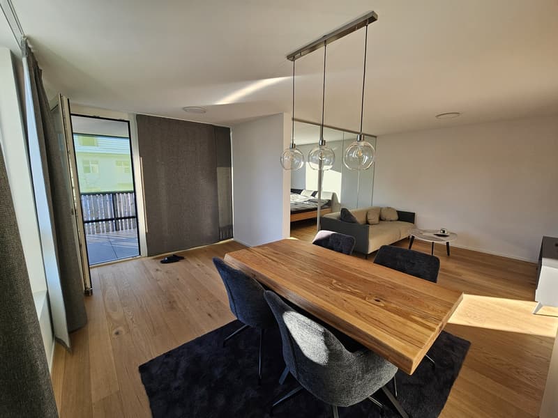 Helle NeubauwohnungHelle Neubauwohnung im 1. Stock zu vermieten: (2)