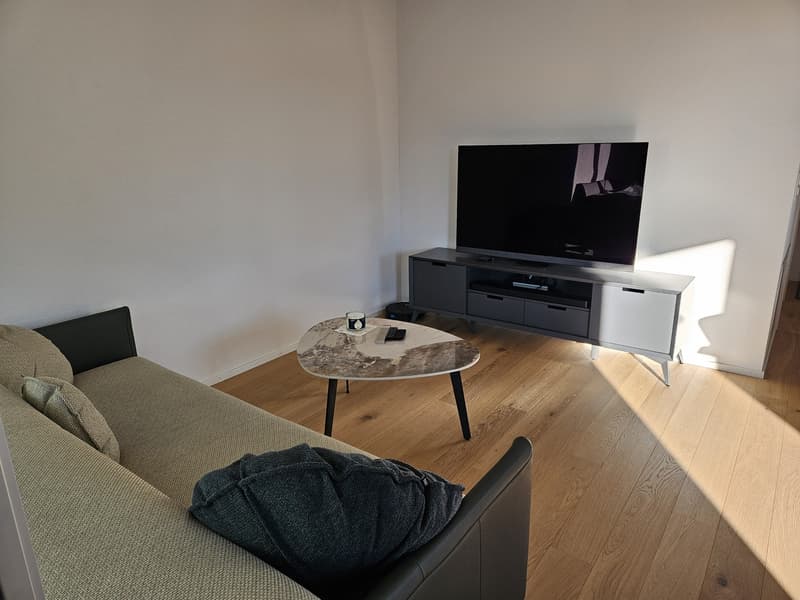 Helle NeubauwohnungHelle Neubauwohnung im 1. Stock zu vermieten: (4)