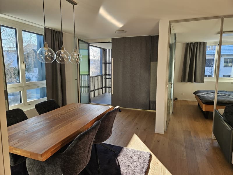 Helle NeubauwohnungHelle Neubauwohnung im 1. Stock zu vermieten: (1)