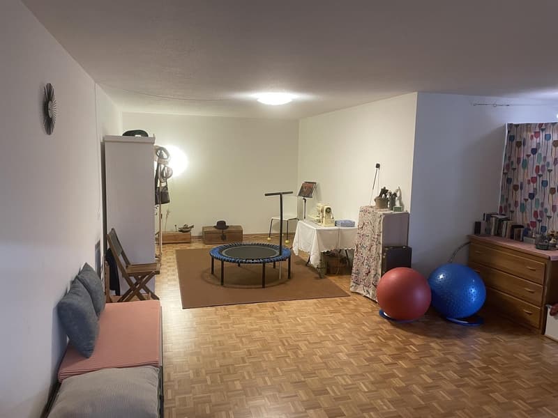 Grosszügige 1.5 Zimmerwohnung (1)