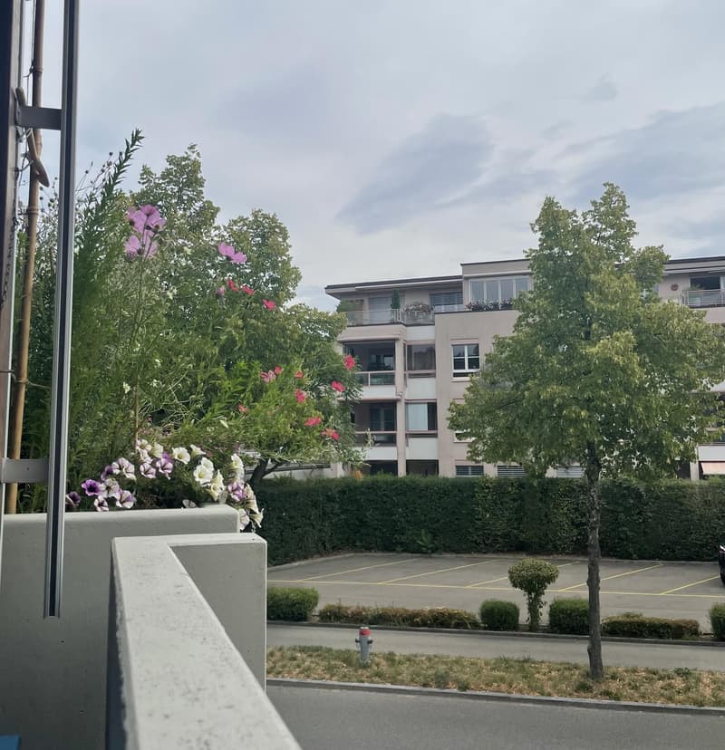 Grosszügige 1.5 Zimmerwohnung (7)