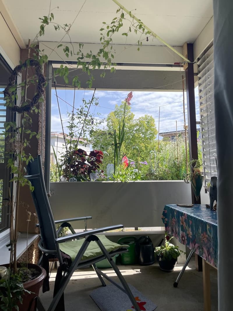 Grosszügige 1.5 Zimmerwohnung (5)