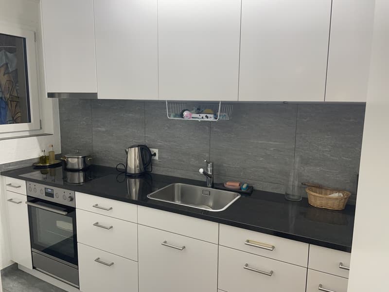 Grosszügige 1.5 Zimmerwohnung (3)