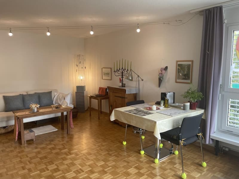 Grosszügige 1.5 Zimmerwohnung (4)