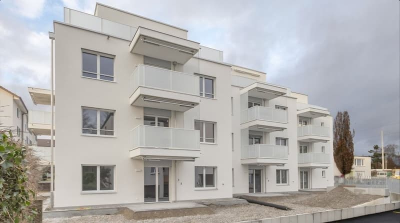 2 ½ Zimmer-Wohnung, 8404 Winterthur (2)