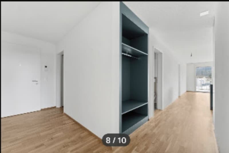 3 1/2 Zi Attika Wohnung (3)