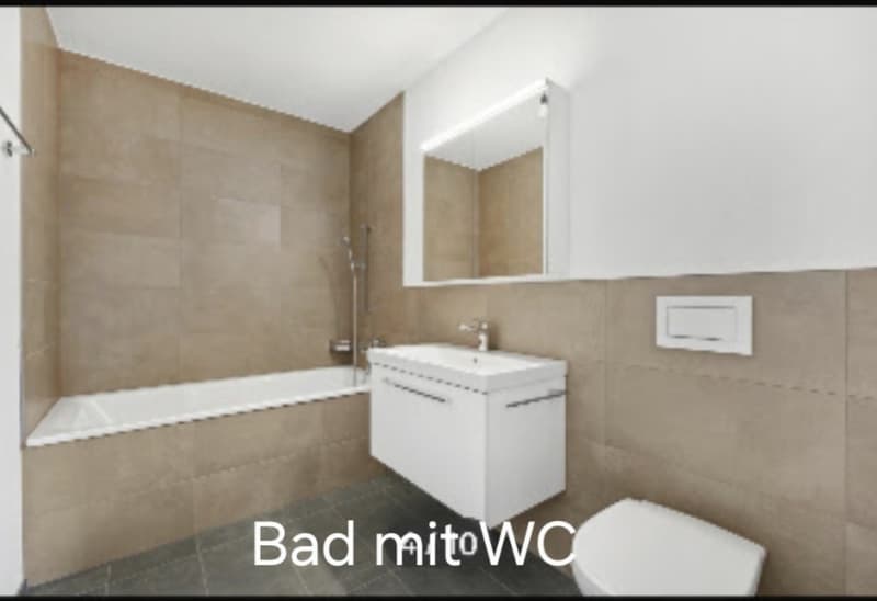 3 1/2 Zi Attika Wohnung (2)