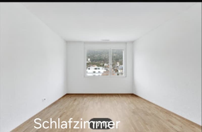 3 1/2 Zi Attika Wohnung (7)