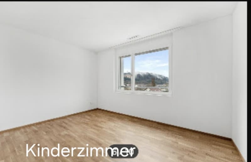 3 1/2 Zi Attika Wohnung (4)