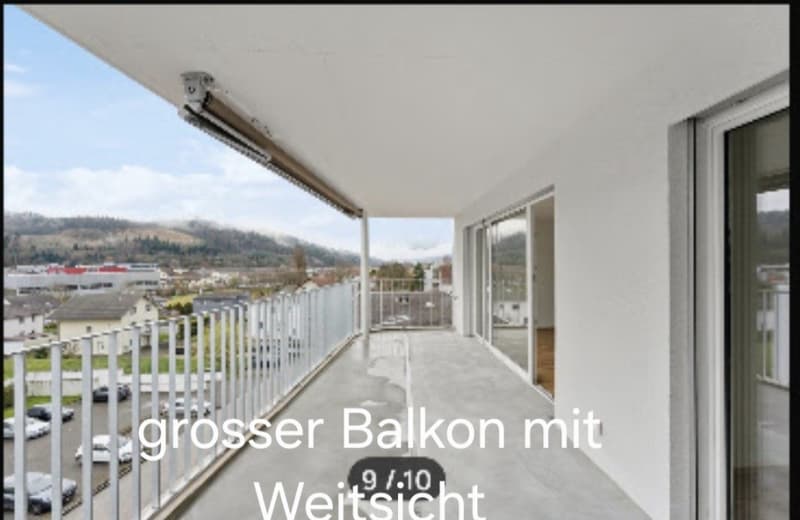 3 1/2 Zi Attika Wohnung (5)